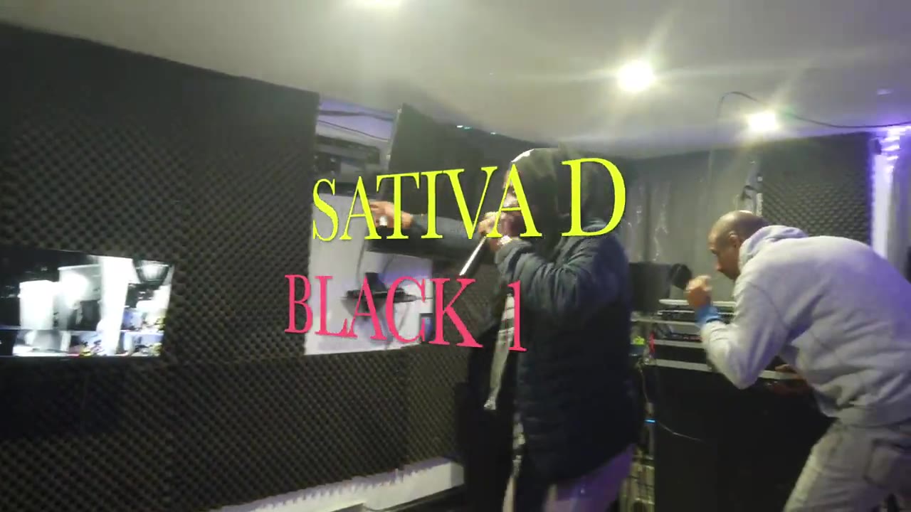 1Sativa D Black 1 * Roof