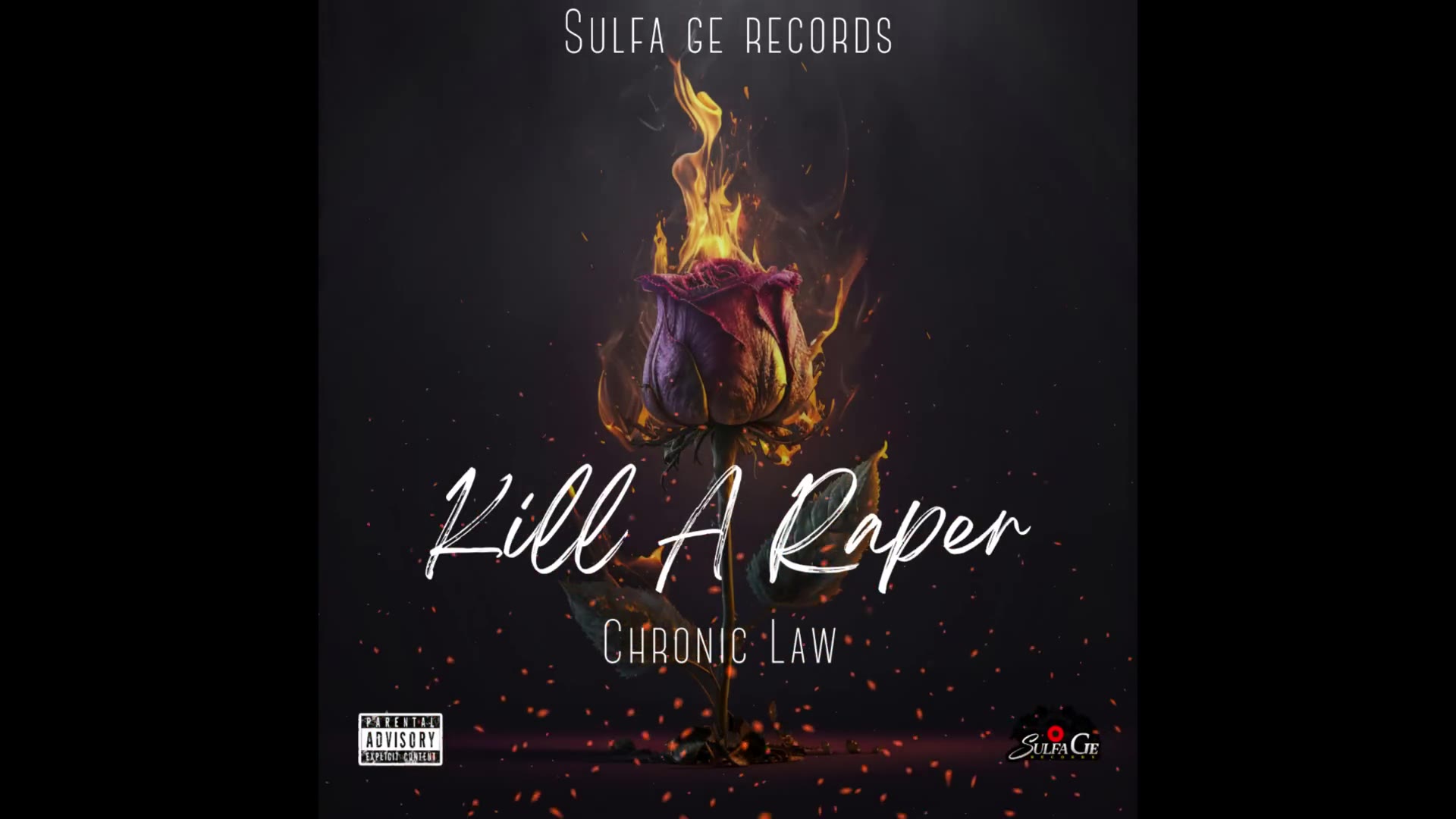 Chronic Law Kill A Raper (Official Audio)