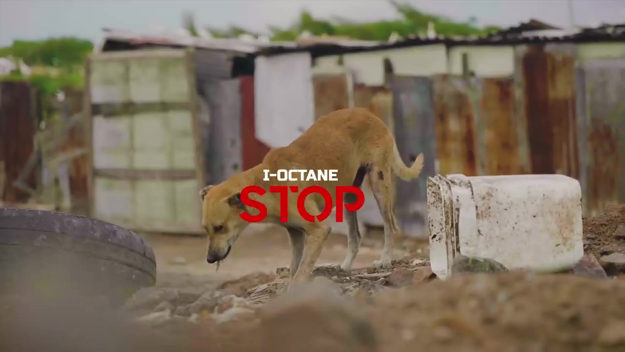 I Octane STOP (Official Video)