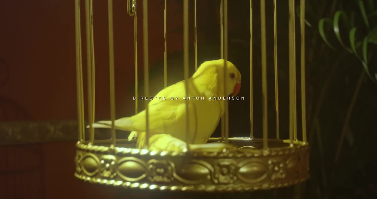Jada Kingdom Dickmatized (Official Music Video)