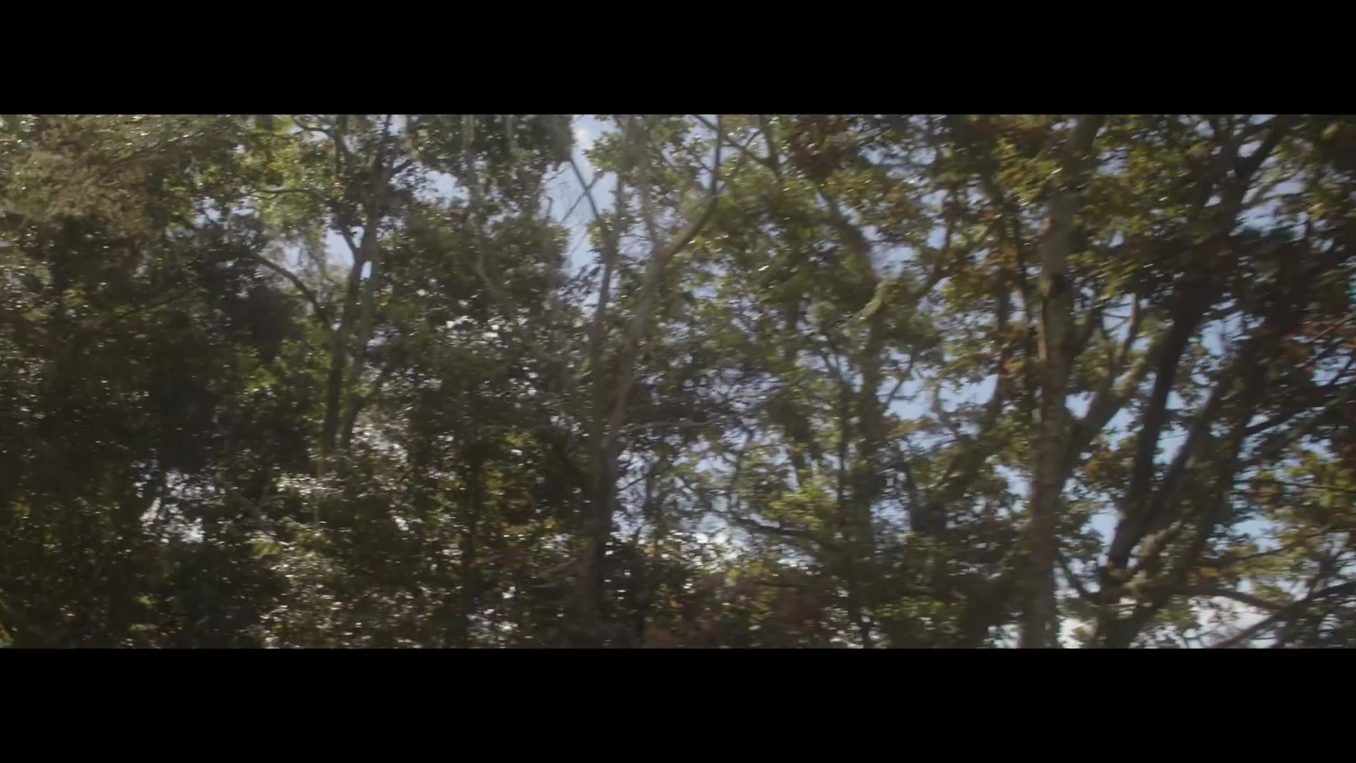 Masicka History (Official Video)