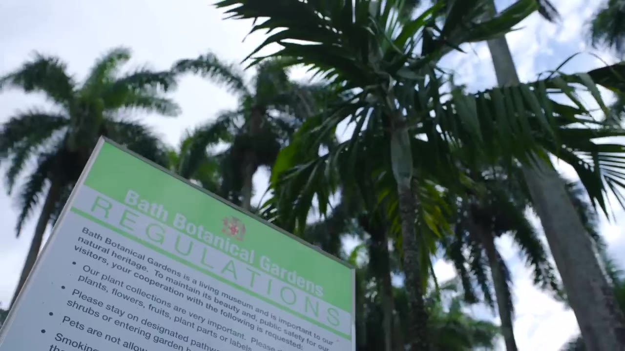 Popcaan St Thomas Native ft Chronic Law (Official Video)