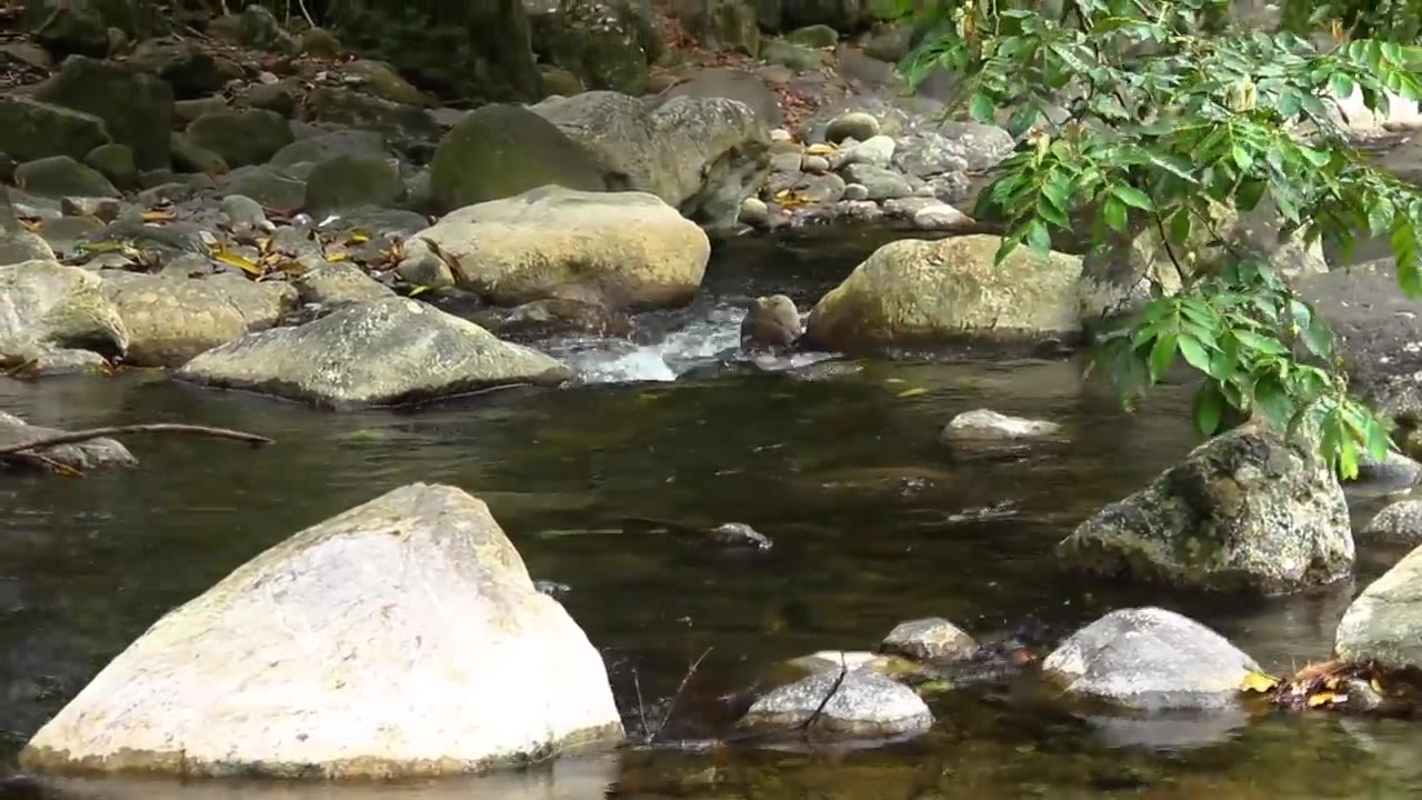 Popcaan Words of Wisdom (Part II) [Abundant Life]