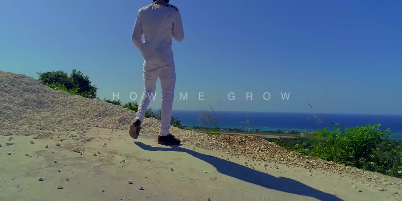 Rygin King How Me Grow