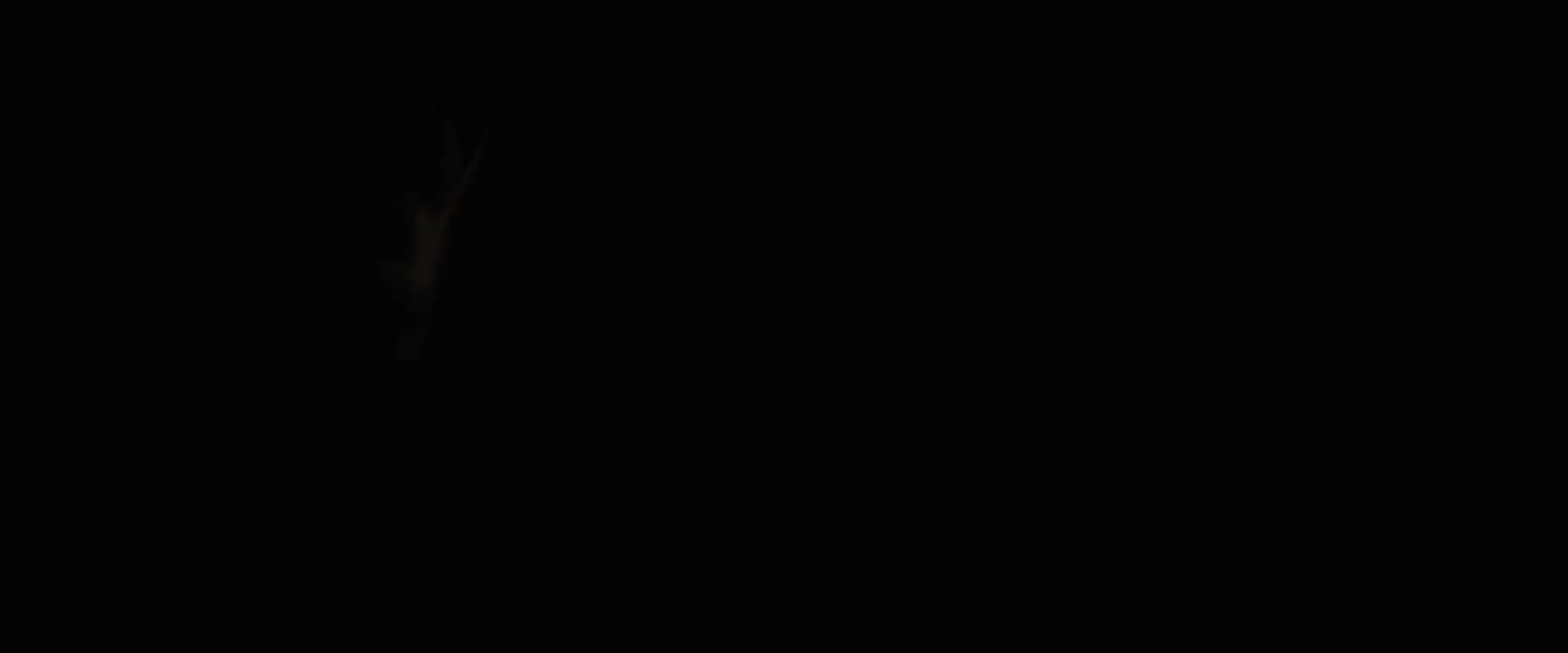 Batman V Superman Dawn Of Justice 2016 1080p BluRay x264 [YTS AG]